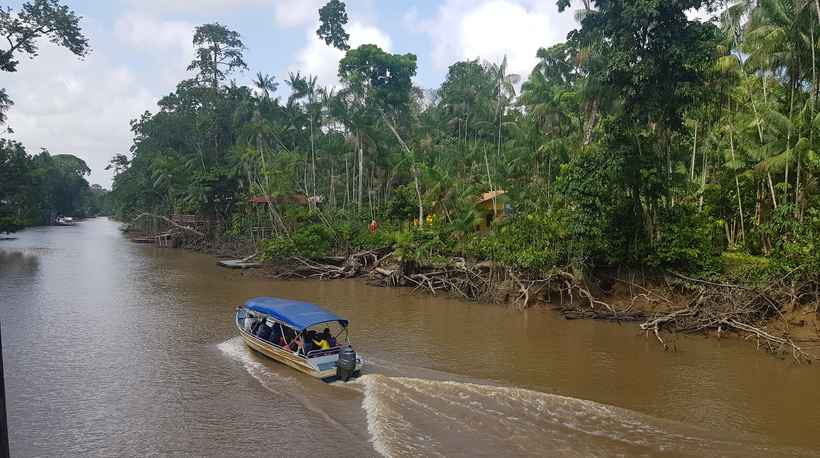 Fala de Bolsonaro sobre a preservação da Amazônia é questionada por quem vive na região - Carlos Altman/EM