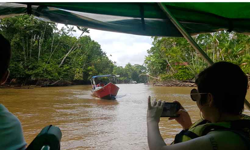 Amazônia paraense: sustentabilidade é o mantra de resistência dos povos da floresta - Carlos Altman/EM/D.A Press