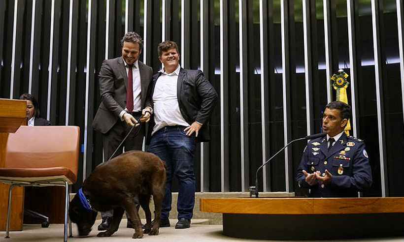 Em comemoração ao Dia Mundial dos Animais, deputado mineiro leva cachorro à Câmara - Reprodução/Twitter Fred Costa