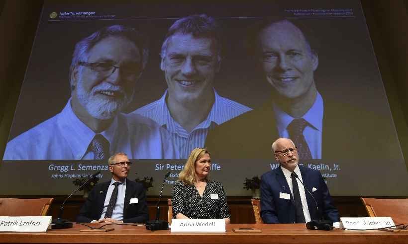 Nobel de Medicina premia trio por pesquisas para combater anemia e câncer - Jonathan NACKSTRAND / AFP