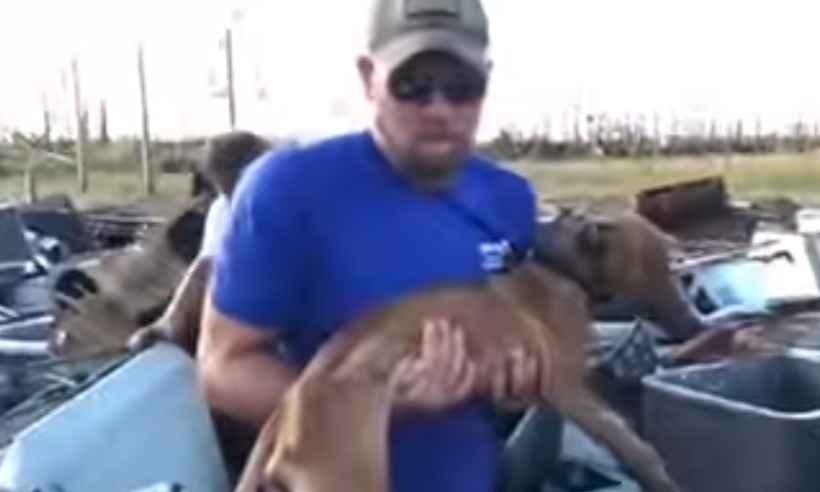Cão é resgatado sob escombros mais de um mês após furacão atingir Bahamas - Reprodução/Youtube/Big Dog Ranch Rescue