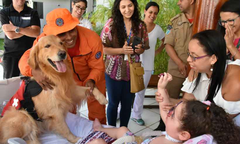 Menina tem 1º contato com animais em visita de cão a hospital; veja relato emocionante - Luana Cunha / Unidade de Comunicação HC-UFTM