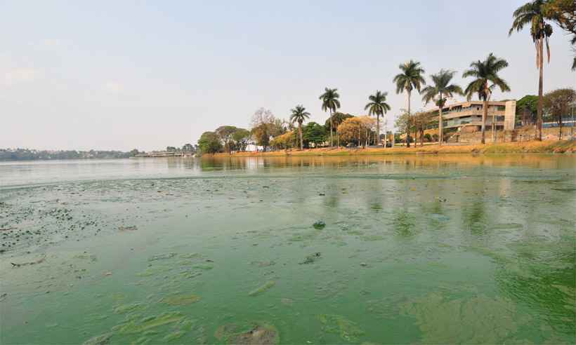 Prefeitura de BH vai investigar causas da poluição da Lagoa da Pampulha - Gladyston Rodrigues/EM/D.A Press - 