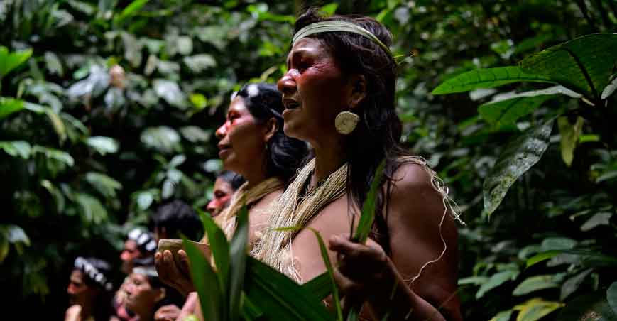 Amazônia é tema de encontro promovido pela Companhia de Jesus - 
Rodrigo Buendia/AFP