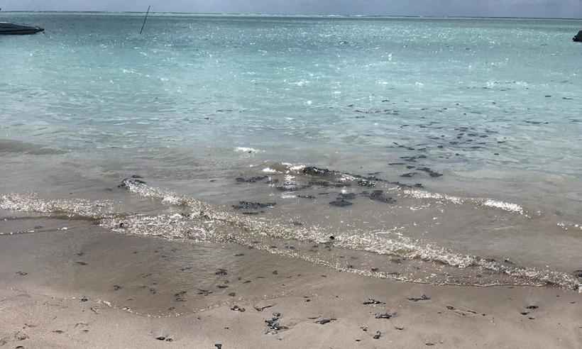 Manchas de óleo atingem Maragogi, no litoral norte de Alagoas - Mara Motta