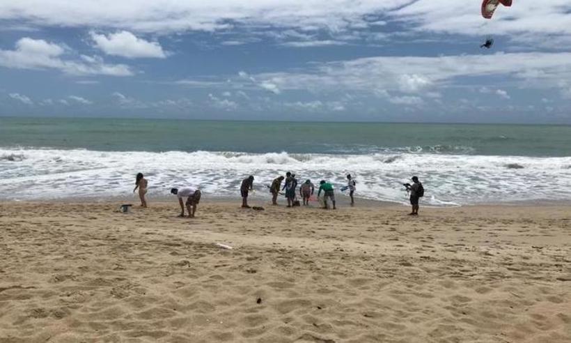 Voluntários se unem para realizar limpeza na praia de Maracaípe, em Pernambuco - Marcionila Teixeira/DP 