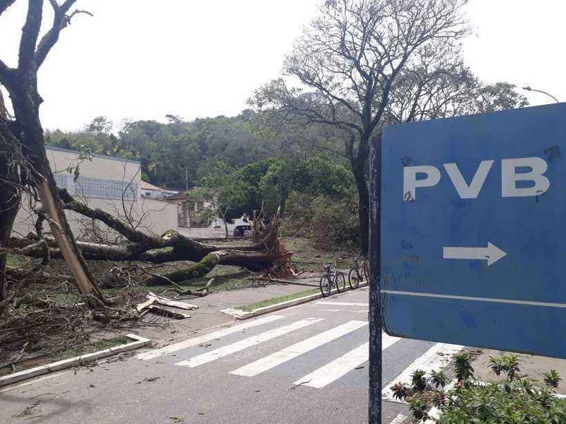 Recursos do MEC só servirão para reparos estruturais na Universidade de Viçosa - Demetrius Silva/Divulgação