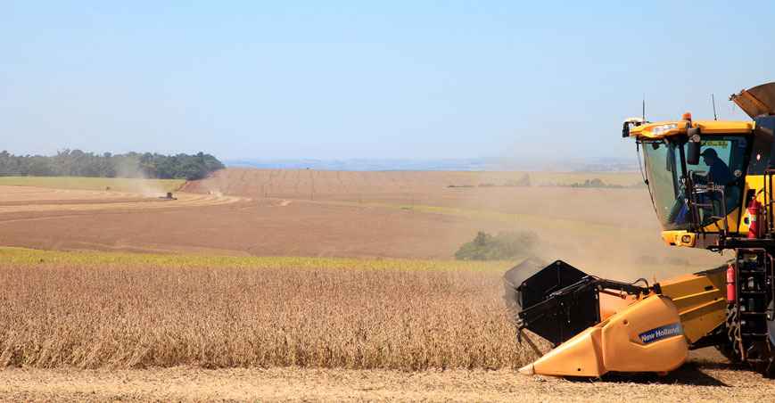 As contradições no campo mostra que o Brasil precisa avançar muito - Monsanto/Divulgação %u2013 16/8/18