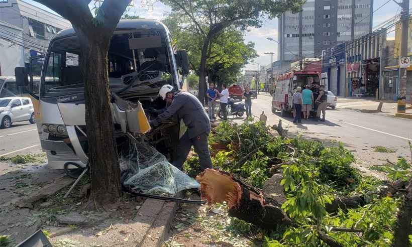 Micro-ônibus escolar bate em árvore e deixa feridos na Avenida Pedro II - Corpo de Bombeiros/Divulgação