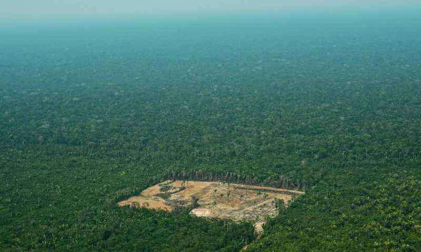 Desmatamento da Amazônia no Brasil bate recorde desde 2008 -  Carl de Souza/AFP