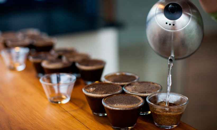 Produtores sustentáveis de café receberão US$ 10 milhões em prêmios - Ophelia Espress/Divulgação 16/2/16