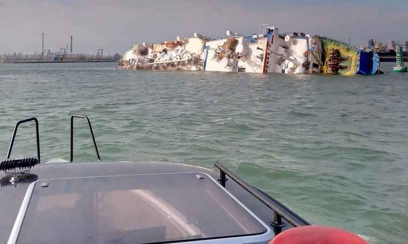 Barco com 14 mil ovelhas naufraga no Mar Negro e autoridades tentam resgatar animais - IGSU Romania / AFP