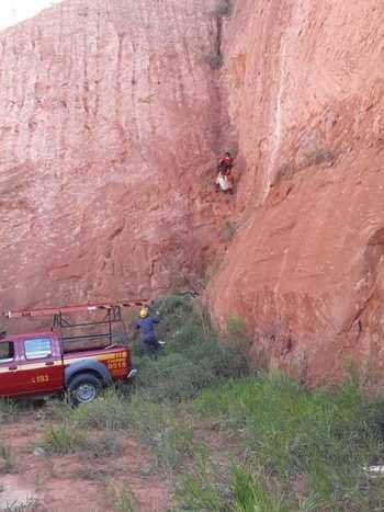 Bombeiros fazem rapel para salvar cachorro preso em barranco - Corpo de Bombeiros/Divulgação