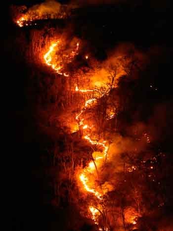 Estudo brasileiro aponta que incêndios na Amazônia afetam geleiras andinas - Dida Sampaio/AFP