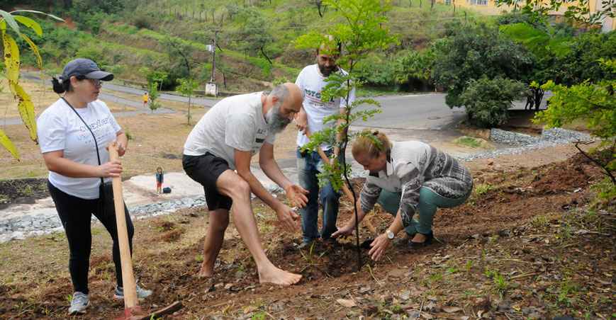 Agrofloresta em pleno centro urbano nasce com mutirão da comunidade no Estoril - Paulo Filgueiras/EM/D.A Press