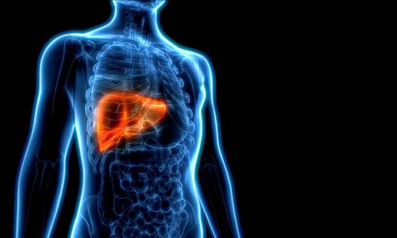 Esperança para quem precisa de um novo fígado - Narayana Health/Divulgação 