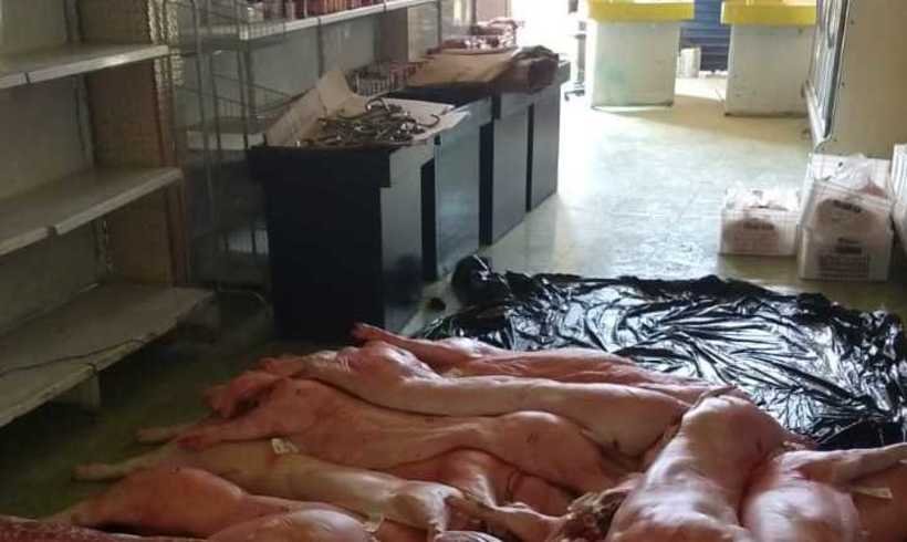 Comerciante é preso com quase 100 kg de carne roubada e imprópria para consumo - Polícia Militar/Divulgação
