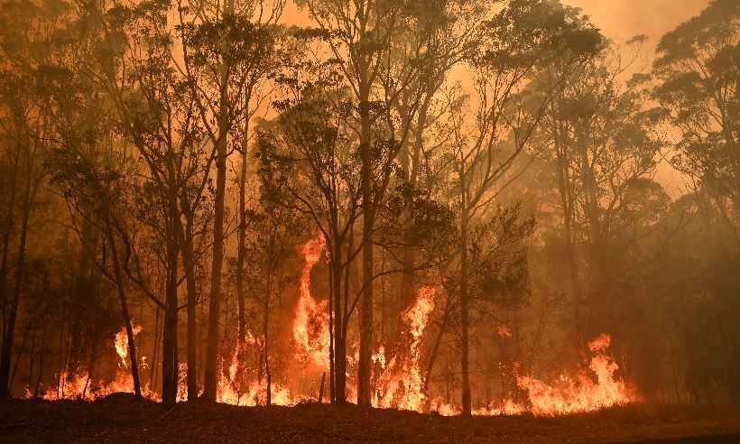 Ano de 2019 foi segundo mais quente já registrado no mundo - PETER PARKS / AFP
