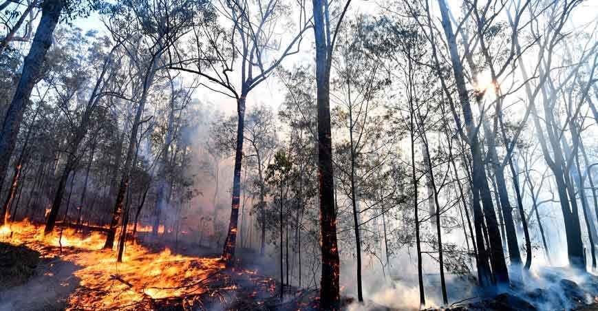    Um 2020 marcado pela fúria da natureza - Saeed Khan/AFP