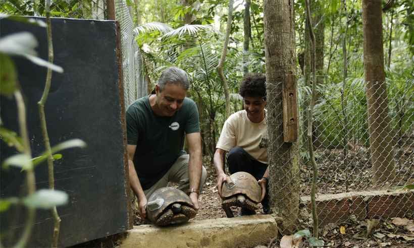 Jabutis voltam ao Parque Nacional da Tijuca, no Rio, após 200 anos - Tomaz Silva/Agência Brasil
