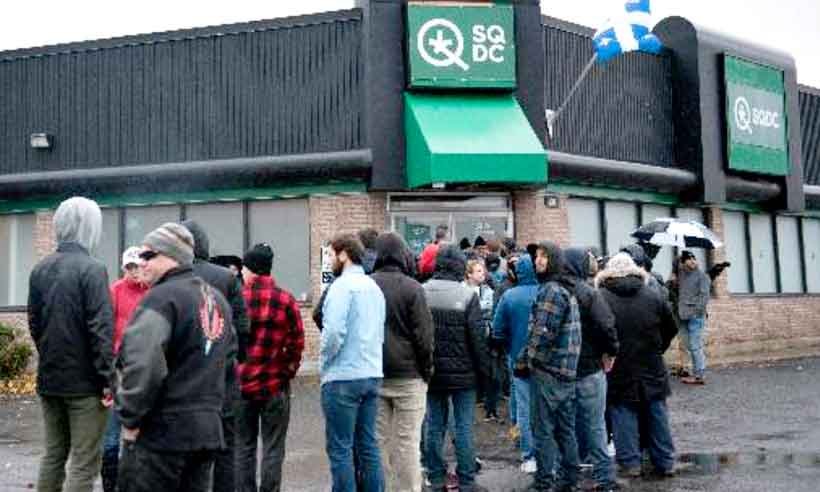 Cientistas apontam que maconha pode elevar risco cardiovascular - Alice Chiche/AFP