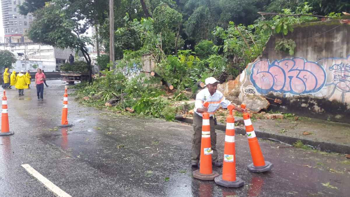 Tempestades deixam rastros de destruição no interior e engarrafamentos em BH - Paulo Filgueiras/EM/D.A.Press