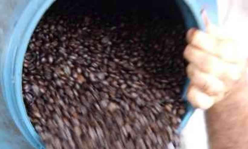 Barbas de molho no comércio com o exterior - Marcos Michelin/EM/D.A PRESS - 31/1/11