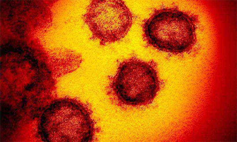 Coronavírus: Número de mortes no Brasil chega a 241 - AFP/Institutos Nacionais de Saúde
