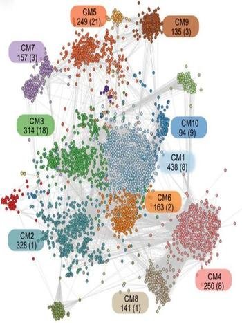Coronavírus: moléculas capazes de influenciar respostas à vacinação  - SPPU/Divulgação