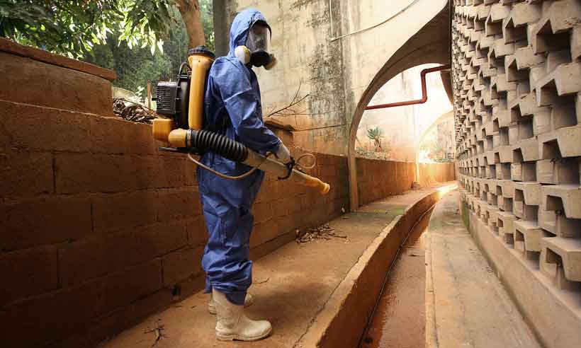 Pandemia de COVID-19 põe em risco o combate ao mosquito Aedes aegyti - Edesio Ferreira/EM/D.A Press
