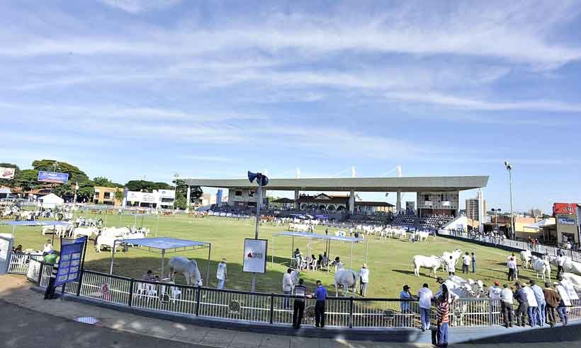 Crise da COVID-19 suspende mais de 500 feiras e eventos de negócios - Flickr/ABCZ