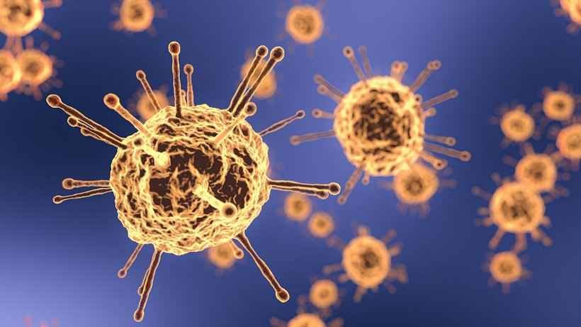Cientistas chineses encontram coronavírus em sêmen de infectados - Mathew Afflecat/Pixabay