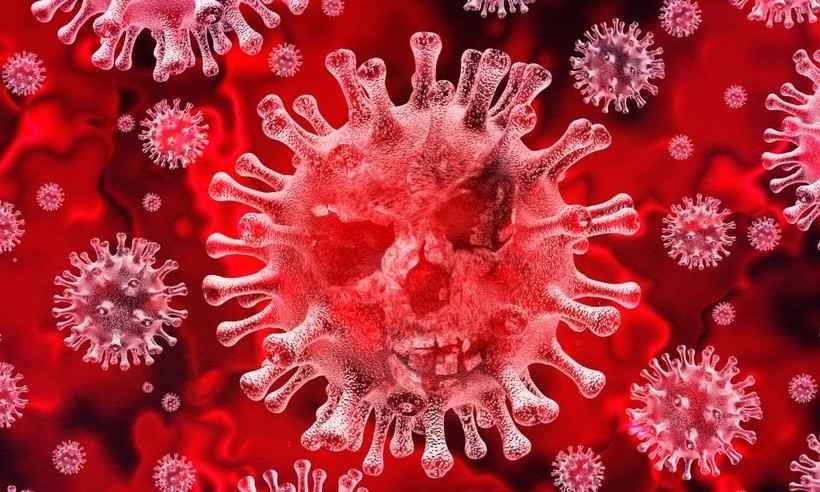 Software brasileiro tenta reforçar o combate ao coronavírus - Reprodução/ Internet