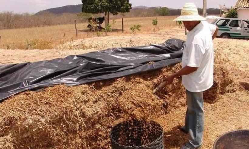 Produtores rurais terão dívidas prorrogadas por causa do coronavírus - Reprodução/ Emater