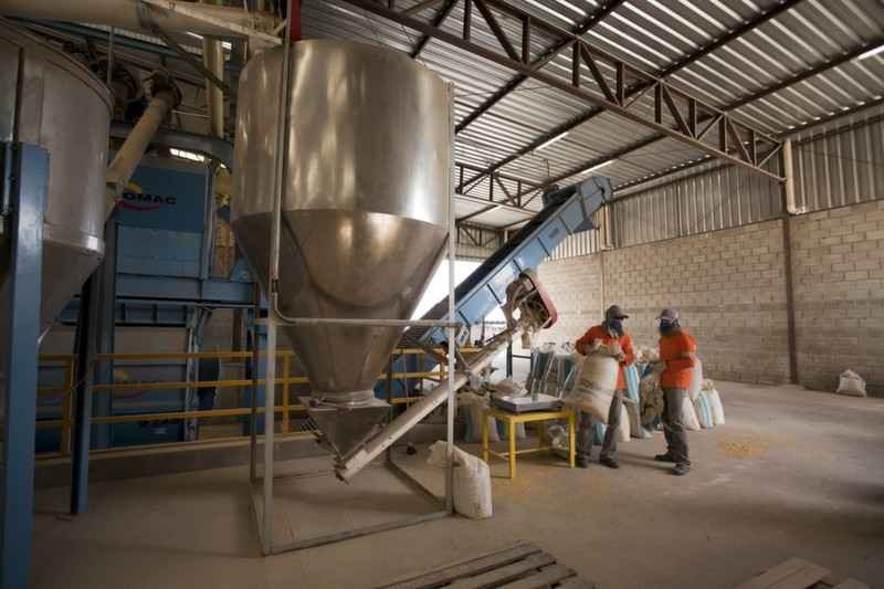 Grupo de agronegócio vai investir mais de R$ 1,2 bilhão em Minas    -  Grupo A.R.G./Divulgação