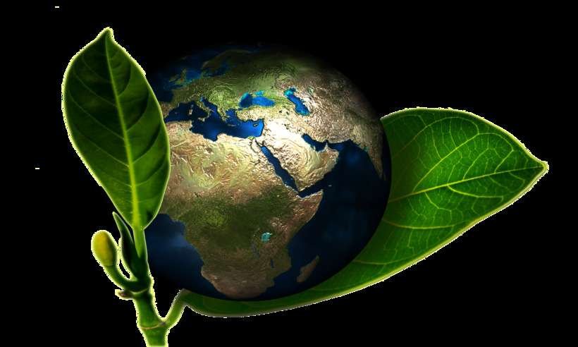 Coronavírus: destruição ambiental gera exposição a novas epidemias - Pixabay