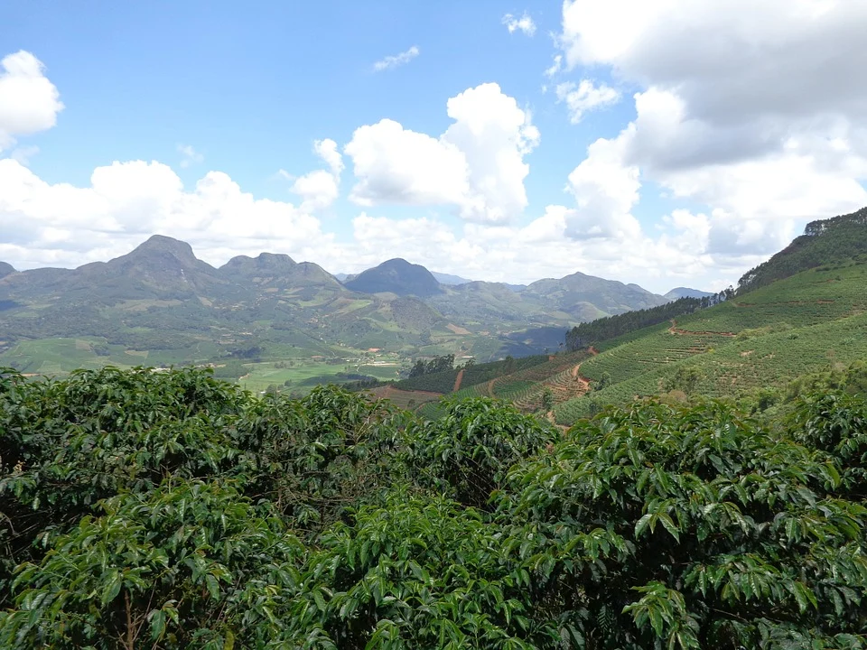 Pedras por Afeto e as montanhas de Minas - Divulgação