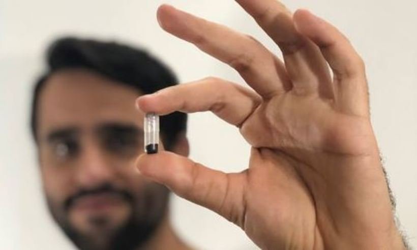 Nova tecnologia de mini-cápsulas de 'Aedes do Bem'  pode suprimir  95% do mosquito - Oxitec/ Divulgação 