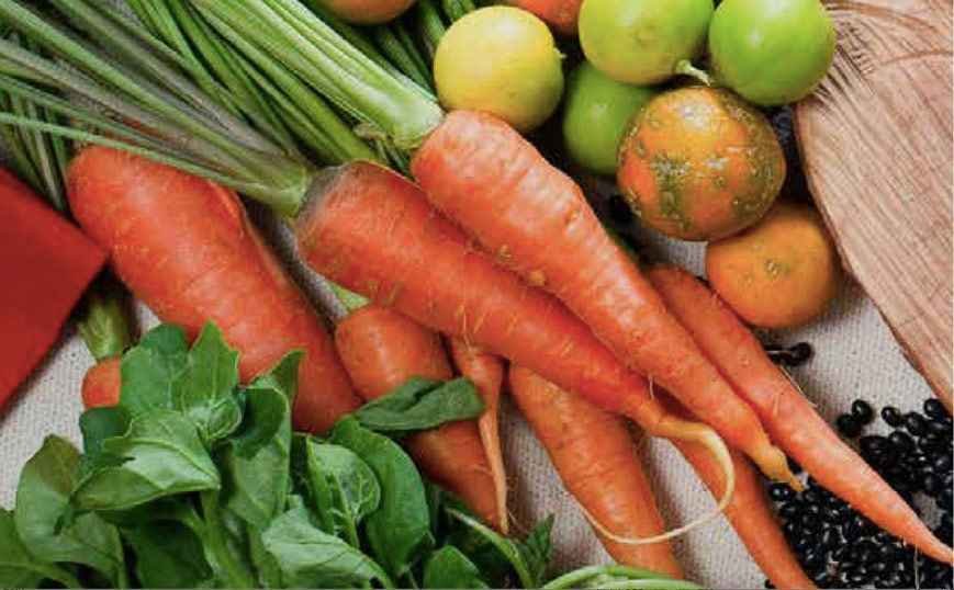 Dê um basta ao desperdício - Divulgação