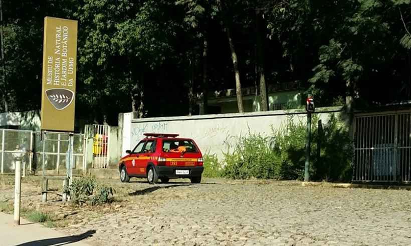 Museu de História Natural da UFMG é atingido por incêndio - Edésio Ferreira/EM/DA Press