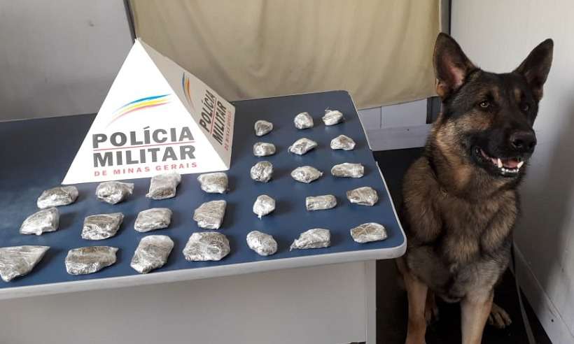 Polícia Militar apreende 60kg de maconha e 114 pinos de cocaína em BH - PM/Divulgação