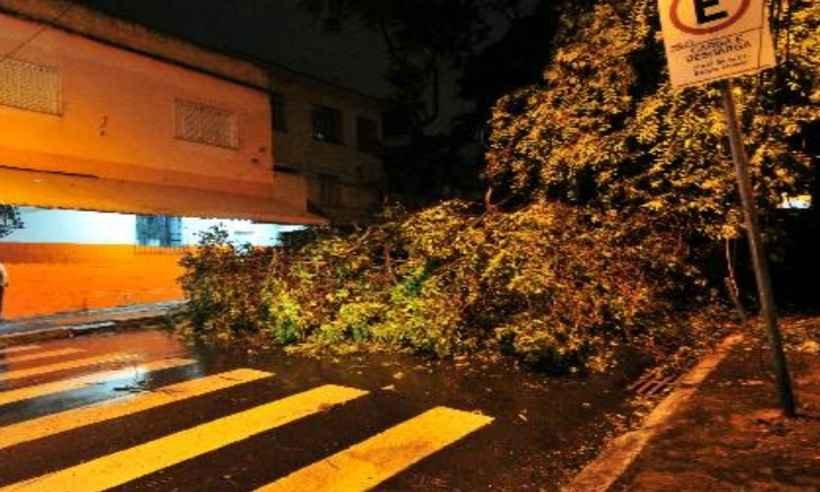 Município de Belo Horizonte terá de pagar danos causados por queda de árvore - Marcos Vieira/EM/D. A Press %u2013 3/6/19