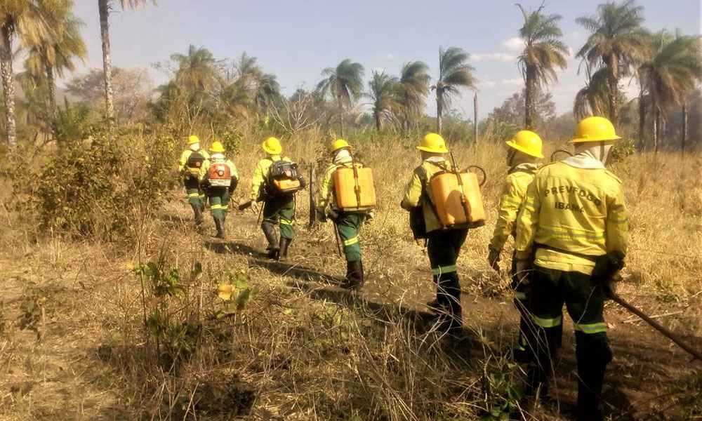 Ibama lança editais de seleção com 843 vagas e salários de até R$ 5,2 mil  - Divulgação/Gov TO 