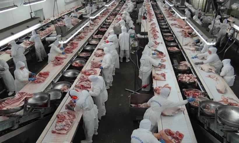 Estudo mostra alta de COVID-19 em cidades do interior que têm frigoríficos - Divulgação