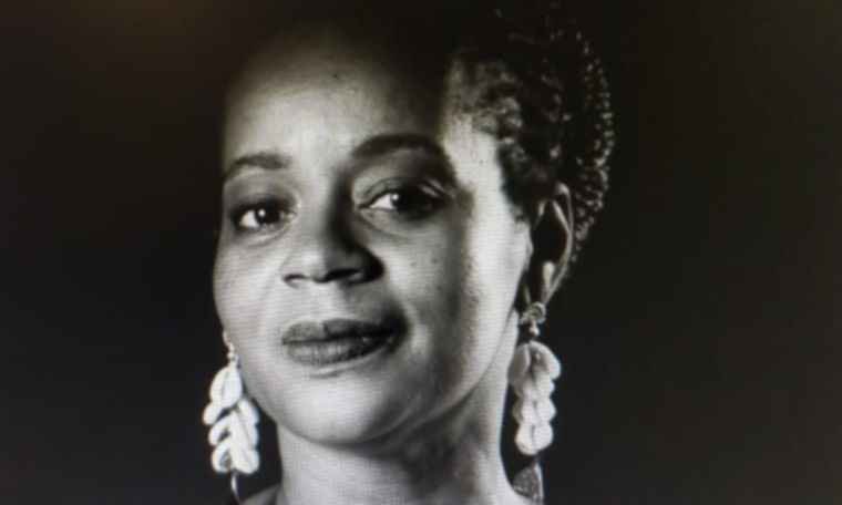 Novo romance de Eliana Alves Cruz expõe o apartheid brasileiro  - Foto: Pallas/divulgação
