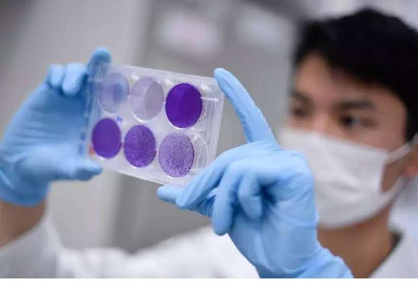 Minas participará de testes de vacina contra COVID-19 - Douglas Magno/AFP