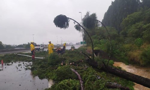 Bolsonaro afirma que sobrevoará Santa Catarina para ver estragos do ciclone bomba - Divulgação/CBMSC