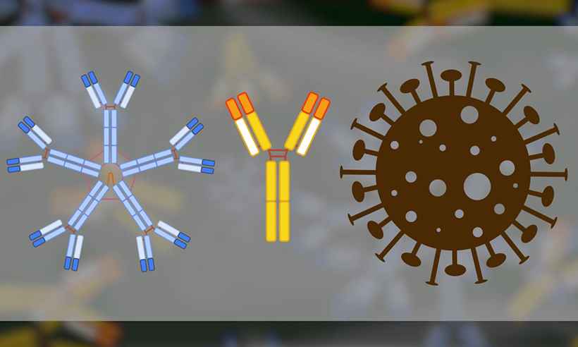 Testes do coronavírus: entenda como funcionam - AFP