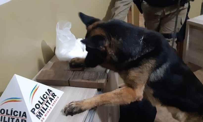 Cão farejador encontra droga em mala abandonada na rodoviária de Araxá - Divulgação/ Polícia Militar