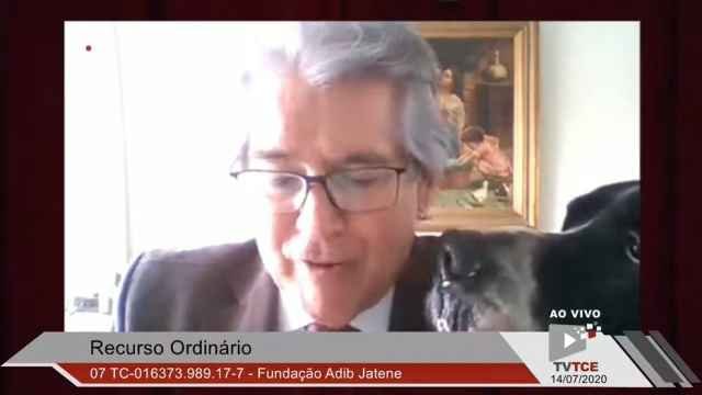 Cachorro de conselheiro invade sessão virtual do Tribunal de Contas de SP - Redes Sociais/Reprodução